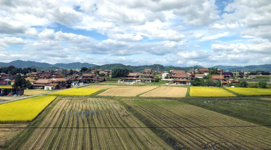 I nostri servizi di noleggio auto offrono una vasta selezione di veicoli a Miharu.